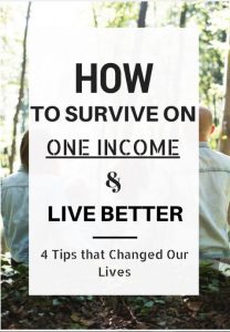 Text: How to survive on one income and live better