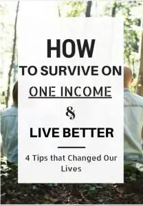 Text: How to survive on one income and live better