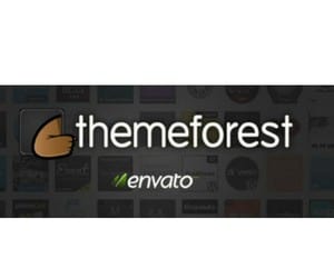 Ad for themeforest, a blog template for purchase