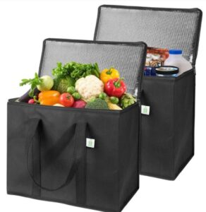 Insulated bags with groceries in them.