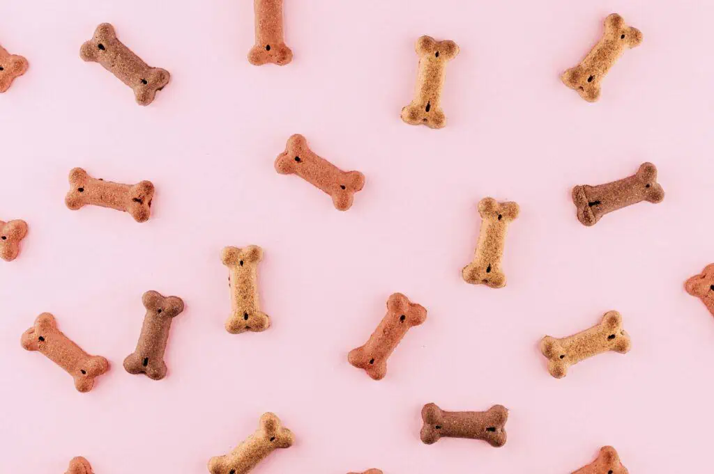 Dog treats on a pink background